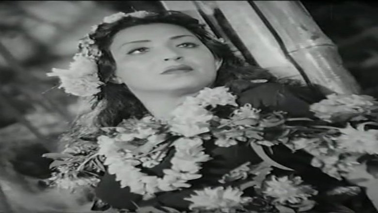 Backdrop image for movie Valley of stars