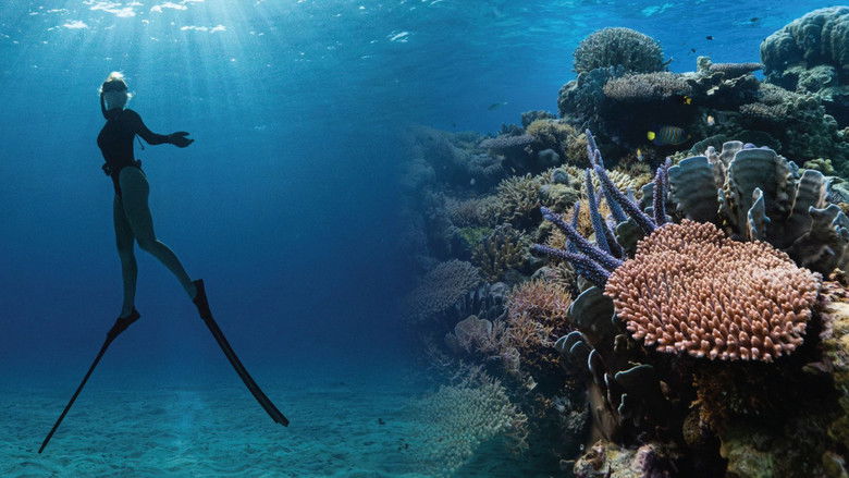 Backdrop image for movie Corals’ Last Stand