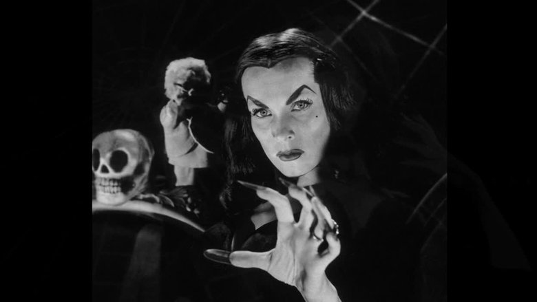 Backdrop image for movie Vampira and Me