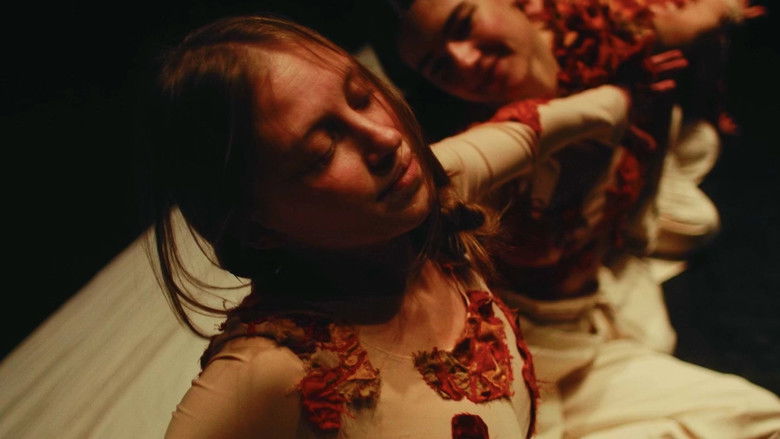 Backdrop image for movie Match in a Haystack