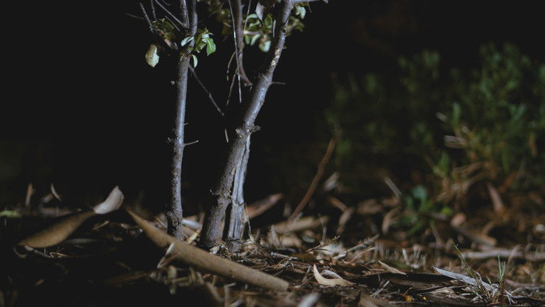 Backdrop image for movie Car Trouble