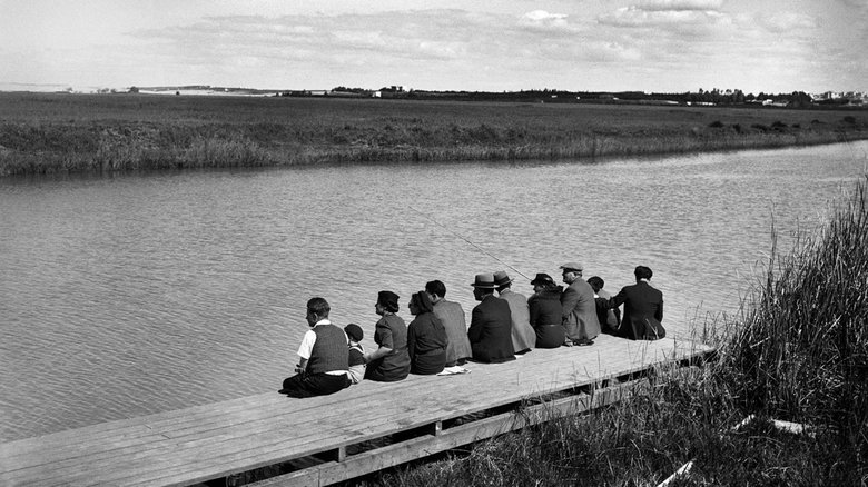 Backdrop image for movie Winding: A River Story
