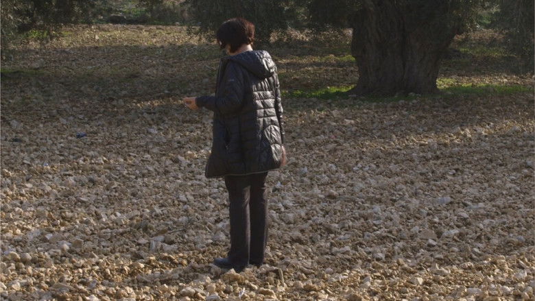 Backdrop image for movie Something from There