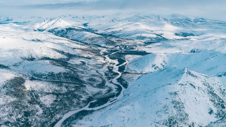 Backdrop image for movie Alaska, au pays des glaciers