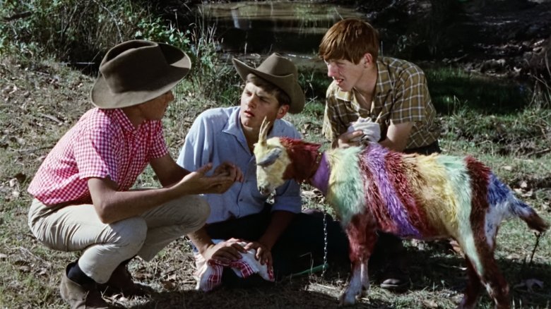 Backdrop image for movie Funny Things Happen Down Under