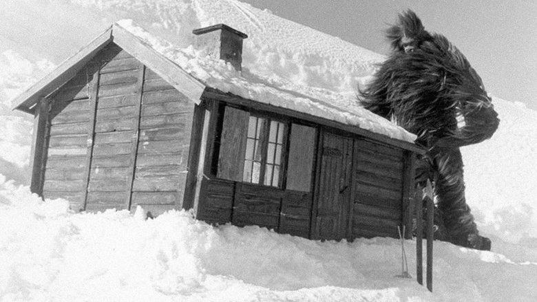 Backdrop image for movie Terror in the Midnight Sun