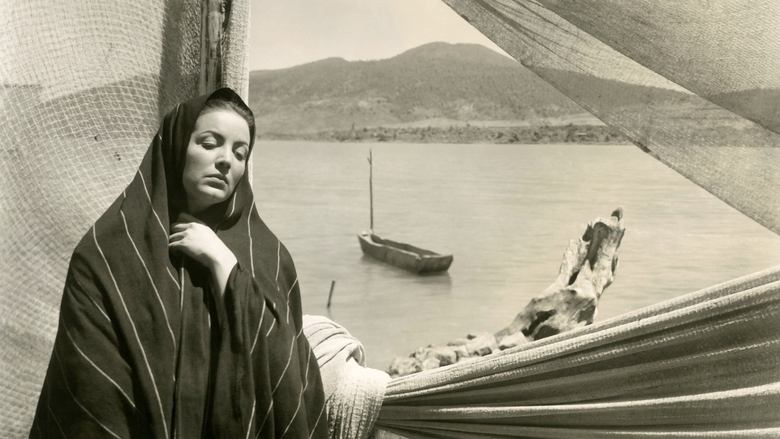 Backdrop image for movie Maclovia