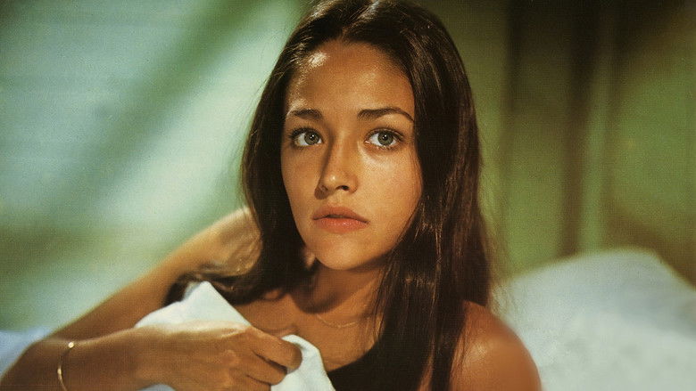 Backdrop image for movie Summertime Killer