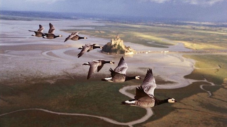 Backdrop image for movie Winged Migration