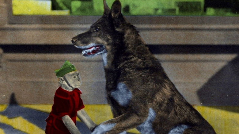 Backdrop image for movie Rinty of the Desert