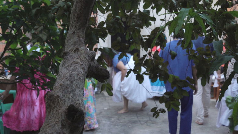 Backdrop image for movie Sealed in Scars