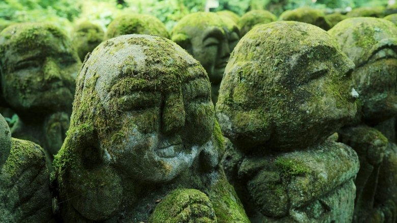 Backdrop image for movie The Magical World of Moss