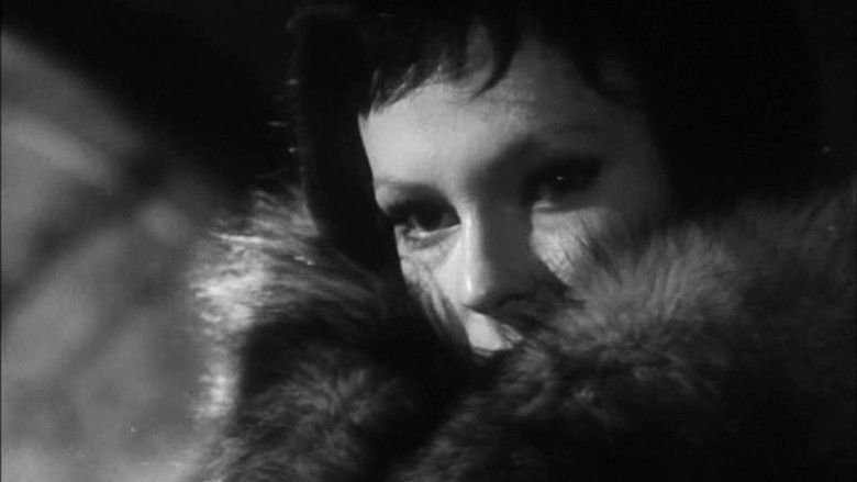 Backdrop image for movie The Doll