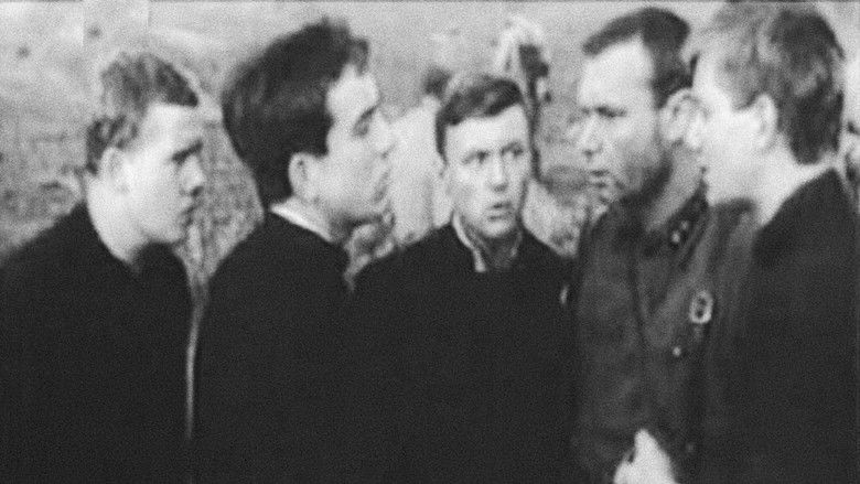 Backdrop image for movie The Turn