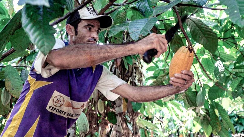 Backdrop image for movie Du Chocolat Pour Sauver l'Amazonie