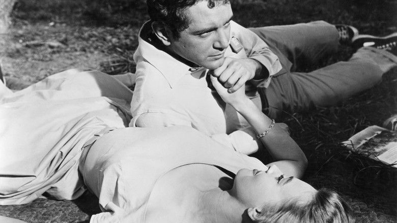 Backdrop image for movie A Cold Wind in August