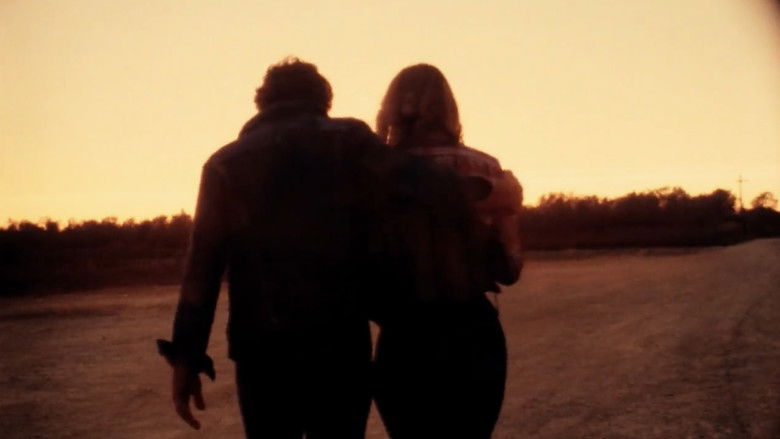 Backdrop image for movie The Nail Gun Massacre