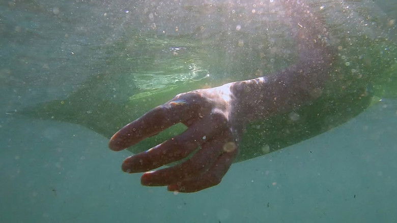 Backdrop image for movie Depredadores sobre el mar