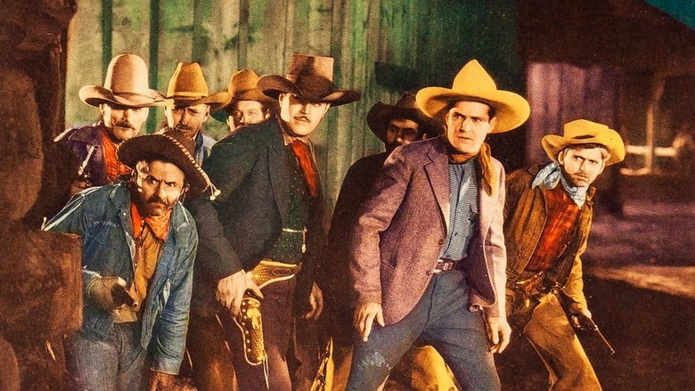 Backdrop image for movie Texas Gun Fighter