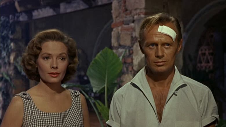 Backdrop image for movie Run for the Sun