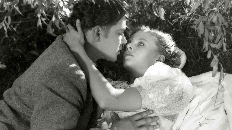 Backdrop image for movie Yövartija vain…