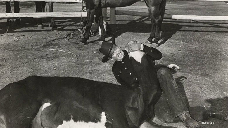 Backdrop image for movie The Arizona Cowboy