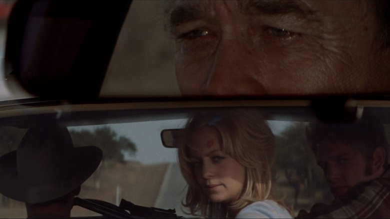 Backdrop image for movie The Sugarland Express