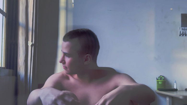 Backdrop image for movie A Armadilha