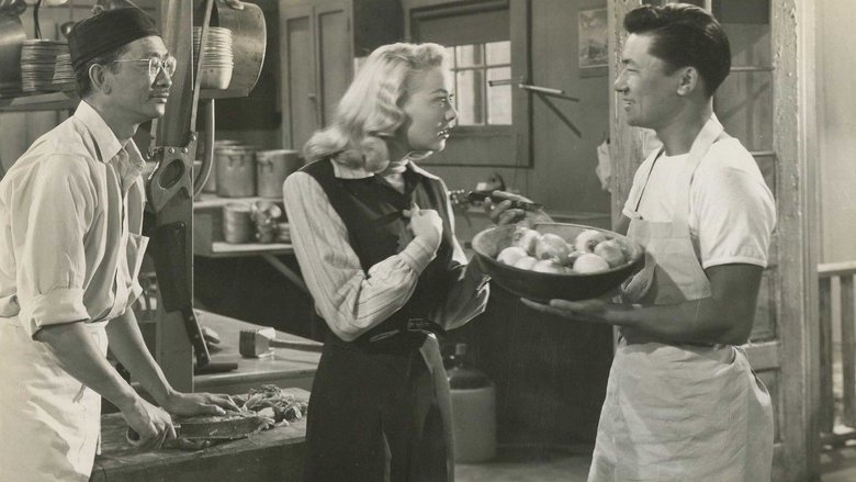 Backdrop image for movie Web of Danger