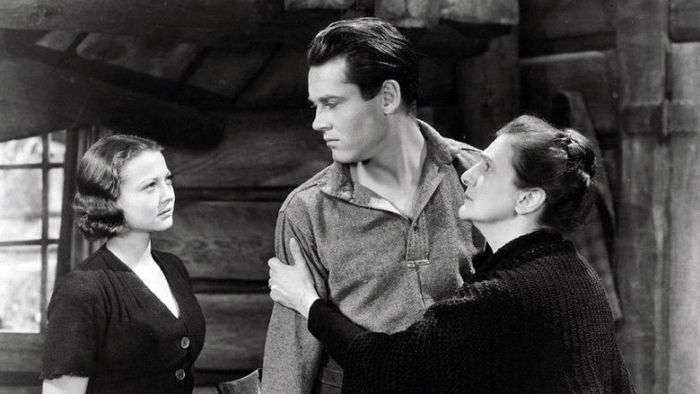 Backdrop image for movie The Trail of the Lonesome Pine