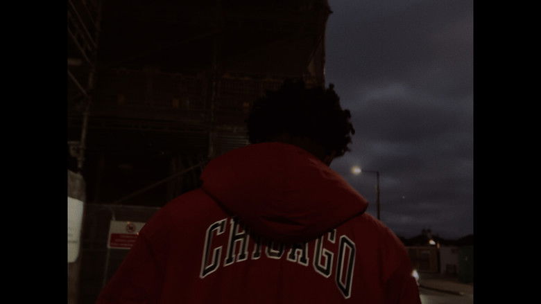 Backdrop image for movie Angry Ladybug