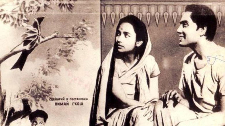 Backdrop image for movie The Uprooted