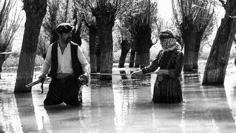 Backdrop image for movie The Well