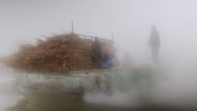 Backdrop image for movie Delta