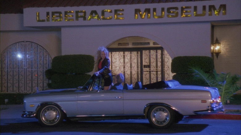 Backdrop image for movie The Winner