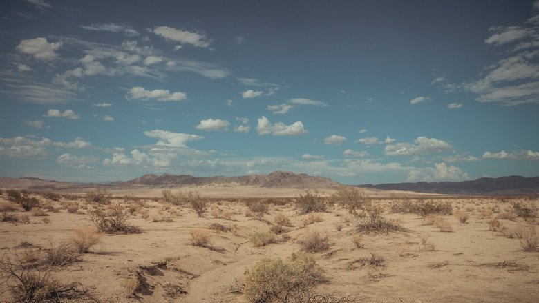 Backdrop image for movie Fame in California