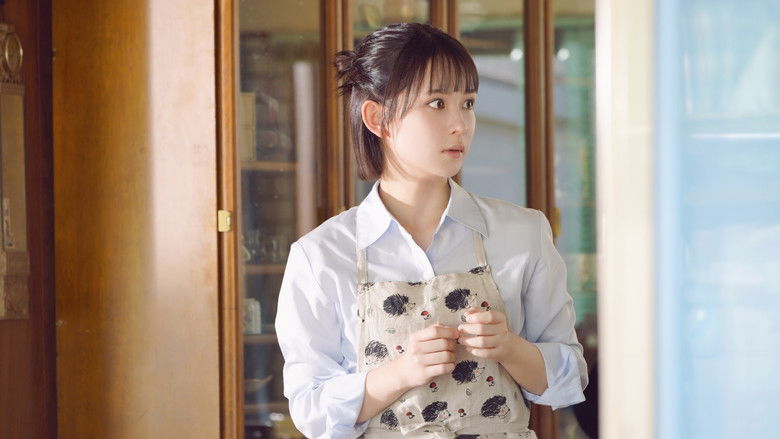 Backdrop image for movie Please Excuse My Younger Brothers