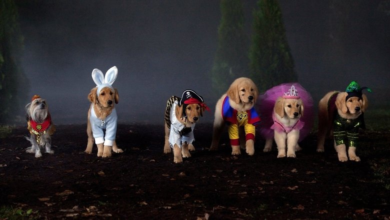 Backdrop image for movie Spooky Buddies