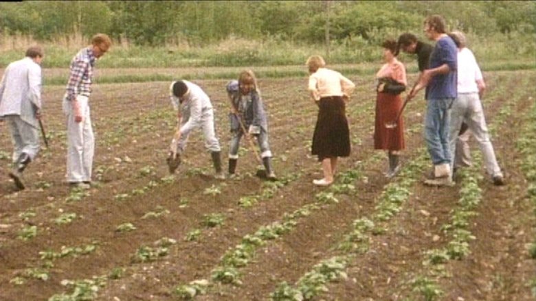 Backdrop image for movie Fläskfarmen