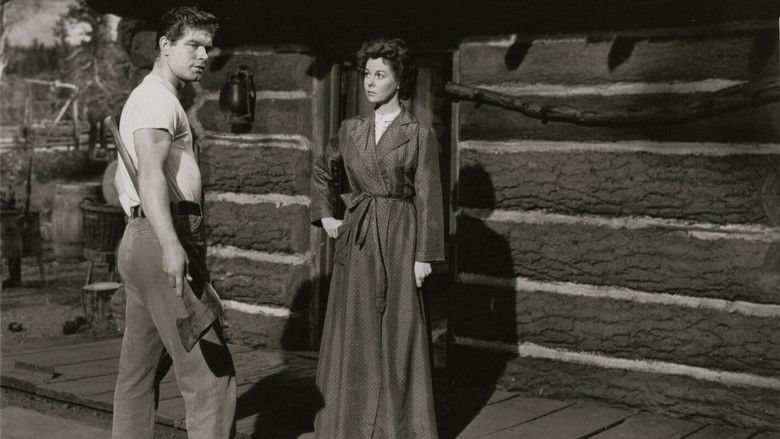 Backdrop image for movie Woman Obsessed