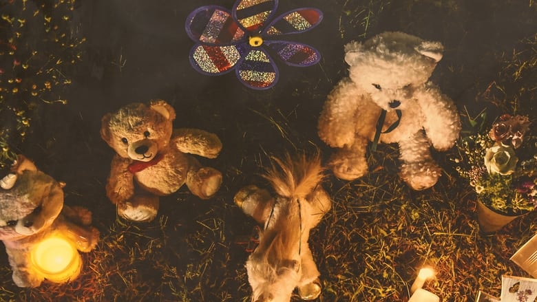 Backdrop image for movie The Murder of Gabby Petito: What Really Happened