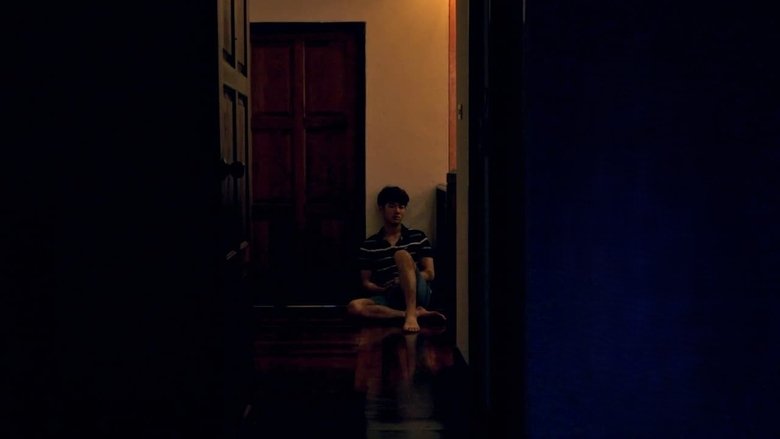 Backdrop image for movie Tropical Night