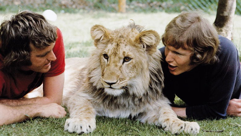 Backdrop image for movie A Lion Called Christian