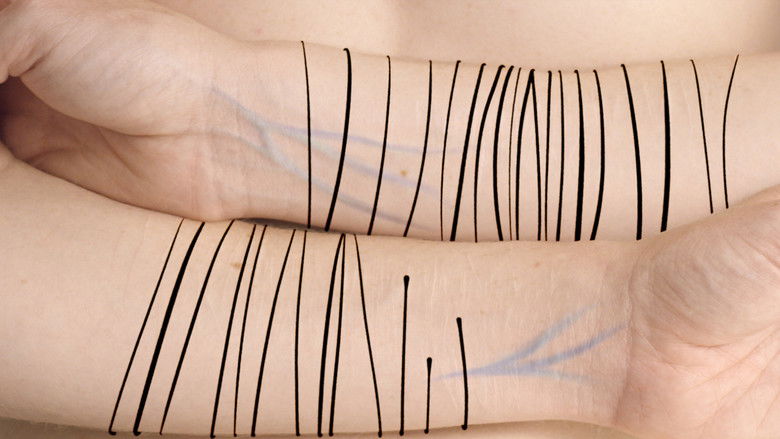 Backdrop image for movie Scars