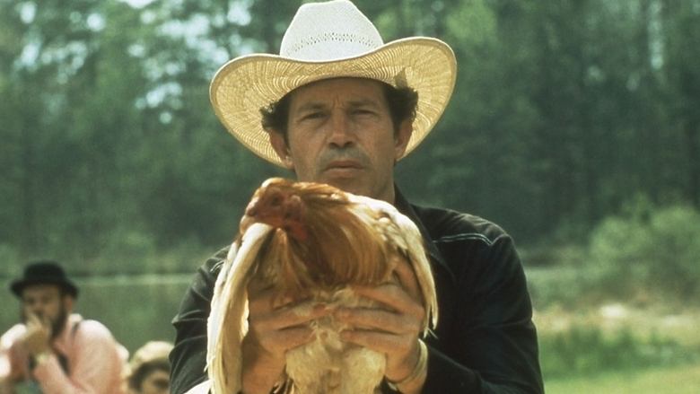 Backdrop image for movie Cockfighter
