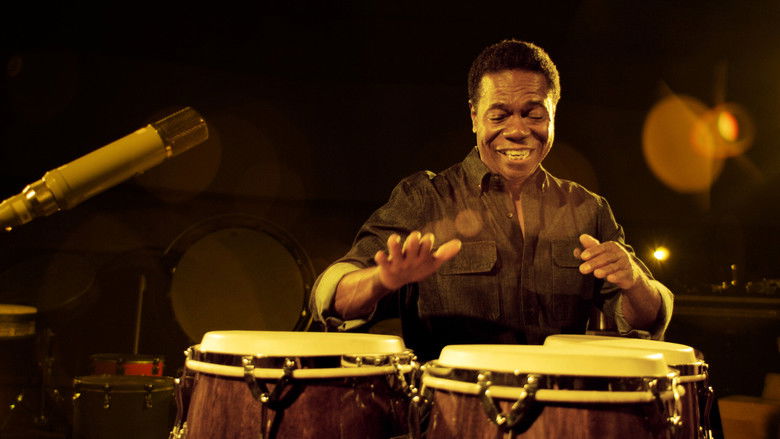 Backdrop image for movie The Groove Under the Groove