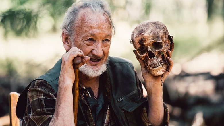 Backdrop image for movie Campfire Creepers: The Skull of Sam