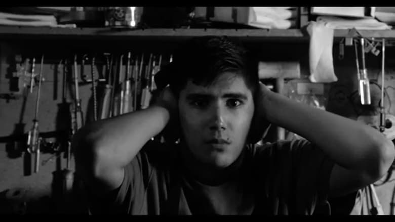 Backdrop image for movie Fly