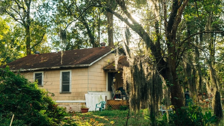 Backdrop image for movie Mossville: When Great Trees Fall