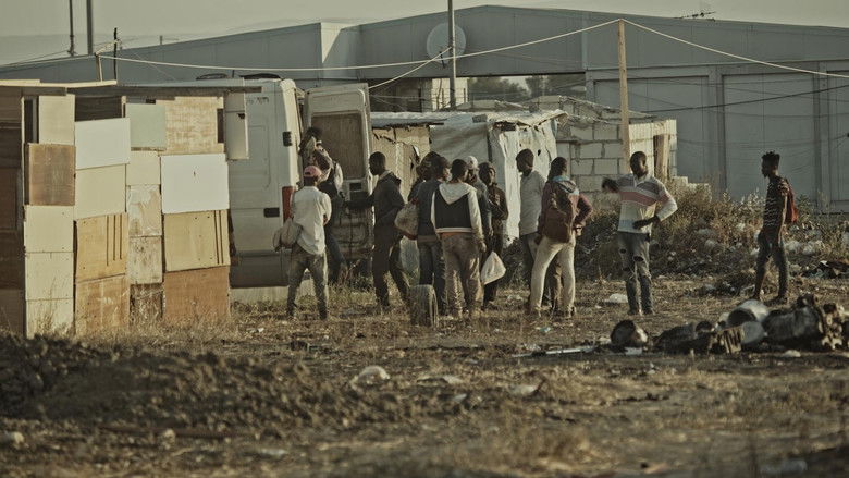 Backdrop image for movie One Day One Day